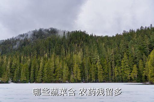 農(nóng)藥打什么菜最多,打農(nóng)藥最多的菜排行榜