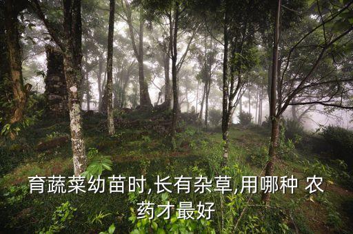 種地什么農藥最好,炭疽病用什么農藥最好