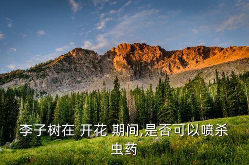 李子樹在 開花 期間,是否可以噴殺蟲藥