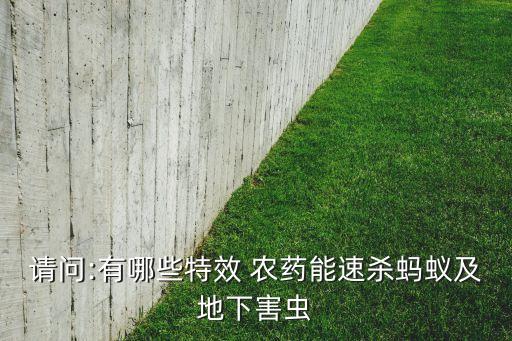 請問:有哪些特效 農(nóng)藥能速殺螞蟻及地下害蟲