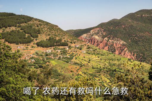 喝了 農藥還有救嗎什么急救