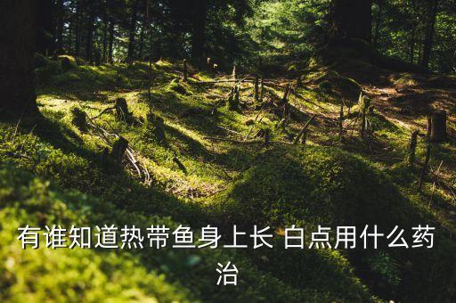 噴什么農藥可以防起白點