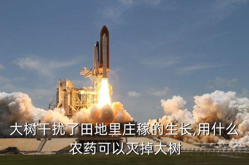 樹最怕什么厲害的液體農藥