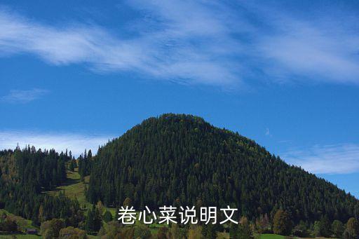 卷心菜說明文