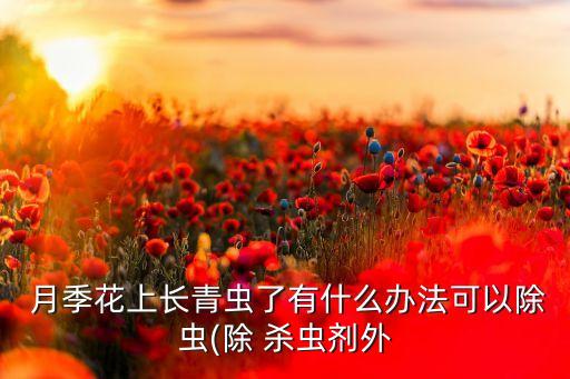  月季花上長(zhǎng)青蟲了有什么辦法可以除蟲(除 殺蟲劑外
