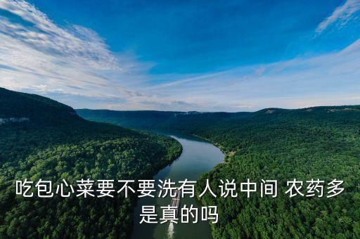 吃包心菜要不要洗有人說中間 農(nóng)藥多是真的嗎