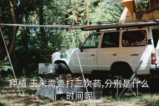 玉米農藥什么時候打效果最好,玉米套餐農藥什么時候噴