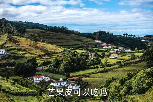  芒果皮可以吃嗎