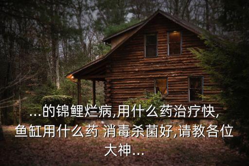 錦鯉怕什么農藥消毒