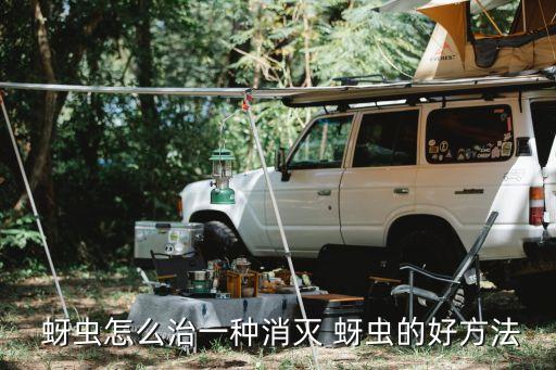  蚜蟲怎么治一種消滅 蚜蟲的好方法