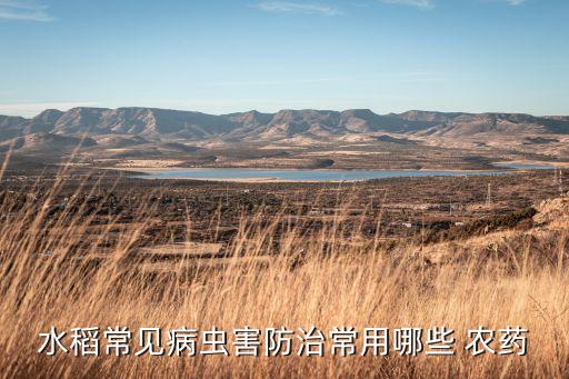 水稻常見病蟲害防治常用哪些 農(nóng)藥