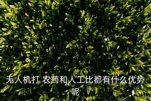 可以噴農藥的飛機叫什么