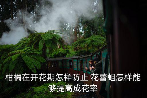 什么農藥使花蕾快點開,喝什么農藥死的快點