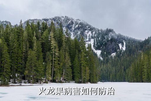 火龍果病害如何防治