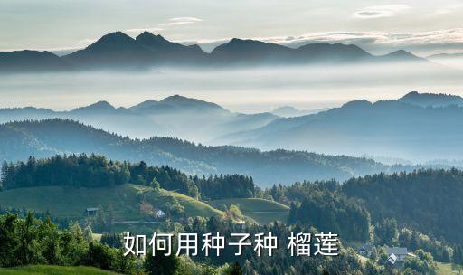 ,種榴蓮要什么農(nóng)藥好使點
