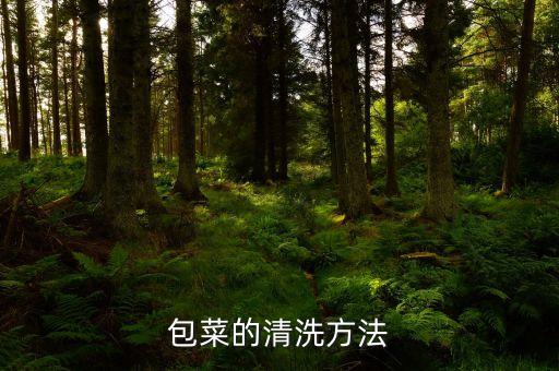 包菜的清洗方法