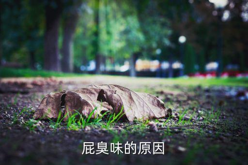 放屁為什么會(huì)有股農(nóng)藥味,為什么放屁有股蒜味