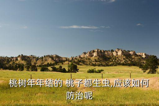桃樹年年結(jié)的 桃子都生蟲,應(yīng)該如何防治呢