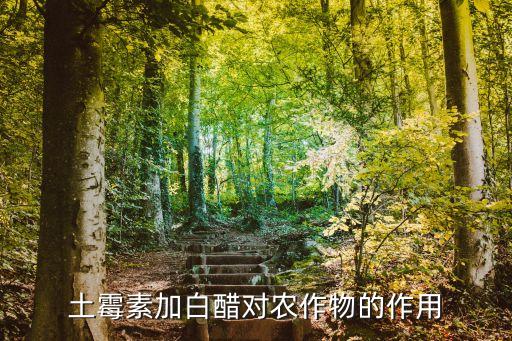 醋不能和什么農藥一起用,醋加農藥有什么功效