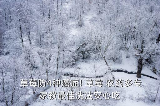  草莓防4種癌癥! 草莓 農(nóng)藥多專家教最佳洗法安心吃