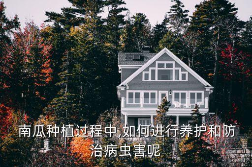  南瓜種植過程中,如何進行養護和防治病蟲害呢