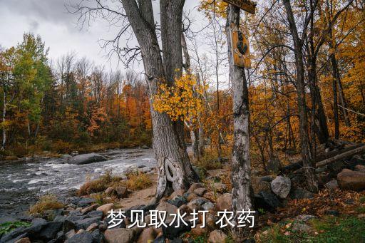 夢見取水打 農(nóng)藥