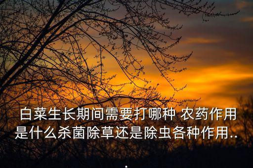  白菜生長期間需要打哪種 農藥作用是什么殺菌除草還是除蟲各種作用...