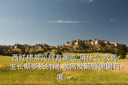  西紅柿常見病有哪些,用什么 農藥,生長期多長時間,求網友解答謝謝百度...