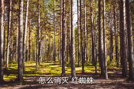 怎么消滅 紅蜘蛛