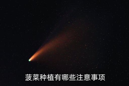 菠菜和什么不能放一塊,在家種菠菜不能放什么農藥