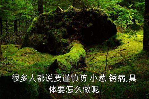 很多人都說要謹慎防 小蔥 銹病,具體要怎么做呢