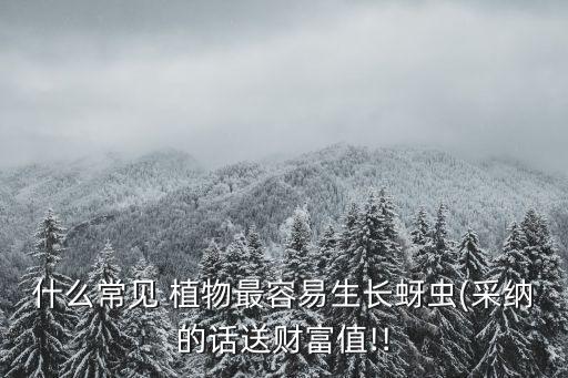 什么常見 植物最容易生長蚜蟲(采納的話送財富值!!