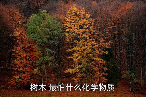 樹木 最怕什么化學物質