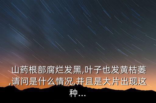  山藥根部腐爛發黑,葉子也發黃枯萎,請問是什么情況,并且是大片出現這種...