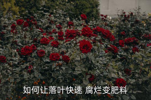 如何讓落葉快速 腐爛變肥料