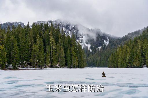  玉米蟲怎樣防治