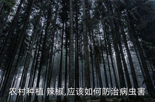 農村種植 辣椒,應該如何防治病蟲害