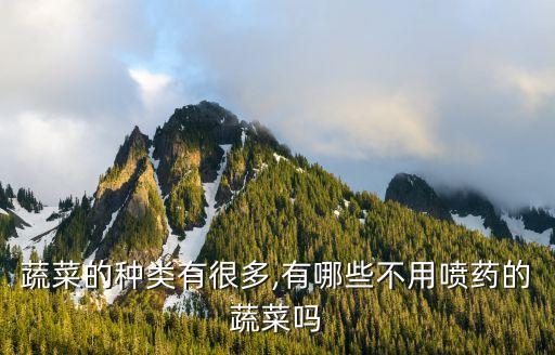 不屬于食品中農(nóng)藥殘留來源是什么,無農(nóng)藥殘留菜是什么菜