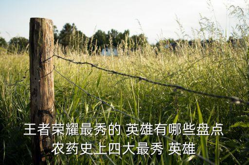 王者農藥出什么英雄好看,什么是王者農藥
