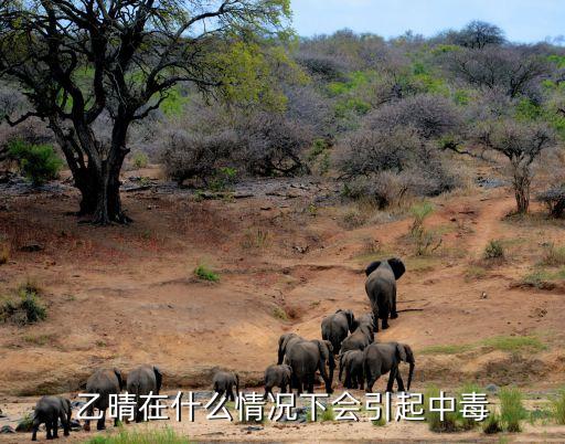 農(nóng)藥乙二秦是什么,乙草滴辛酯是什么農(nóng)藥