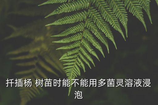 楊樹(shù)苗防蟲(chóng)用什么農(nóng)藥