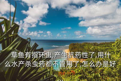 草魚最怕什么農(nóng)藥,養(yǎng)草魚最怕什么