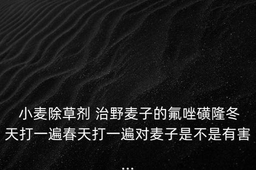  小麥除草劑 治野麥子的氟唑磺隆冬天打一遍春天打一遍對麥子是不是有害...