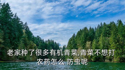 老家種了很多有機(jī)青菜,青菜不想打 農(nóng)藥怎么 防蟲(chóng)呢