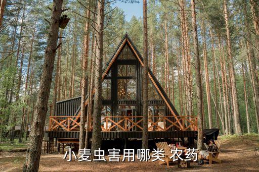  小麥蟲害用哪類 農(nóng)藥