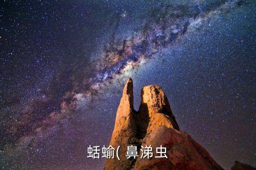 用什么農藥消滅鼻涕蟲,打鼻涕蟲用什么農藥