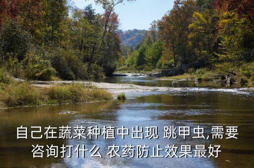 自己在蔬菜種植中出現 跳甲蟲,需要咨詢打什么 農藥防止效果最好