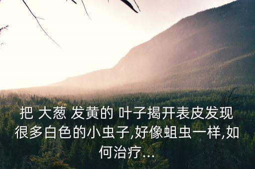 種的大蔥葉子發黃是怎么回事?,大蔥葉子發黃用什么農藥