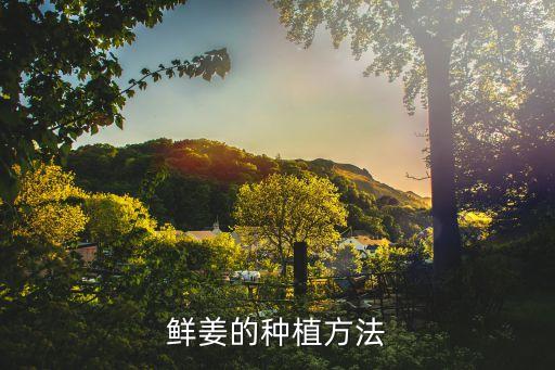 生姜栽培用什么農藥浸種