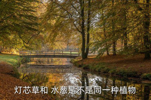 水蔥什么農(nóng)藥能治,治水蔥藥什么效果好